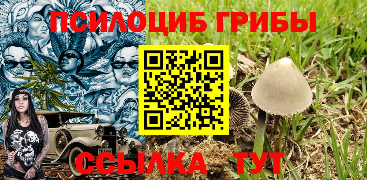 Псилоцибиновые грибы ЛСД Ленинск-Кузнецкий